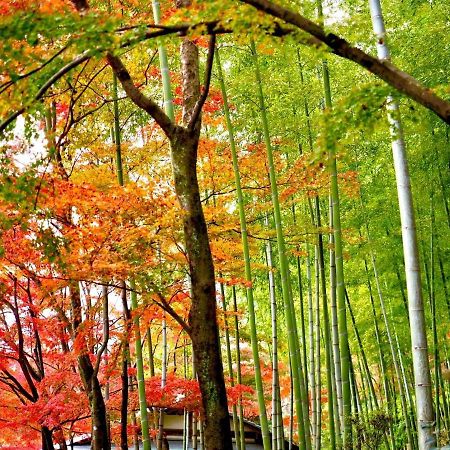 Kyoto Yadomachi Nishijin公寓 外观 照片